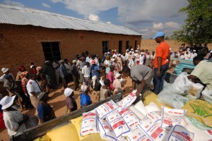 Seed distribution in Mount Darwin, Zimbabwe.